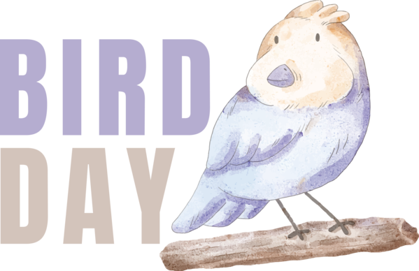 Transparent Bird Day Bird Day for Happy Bird Day for Bird Day