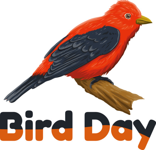 Transparent Bird Day Bird Day International Bird Day Happy Bird Day for Happy Bird Day for Bird Day