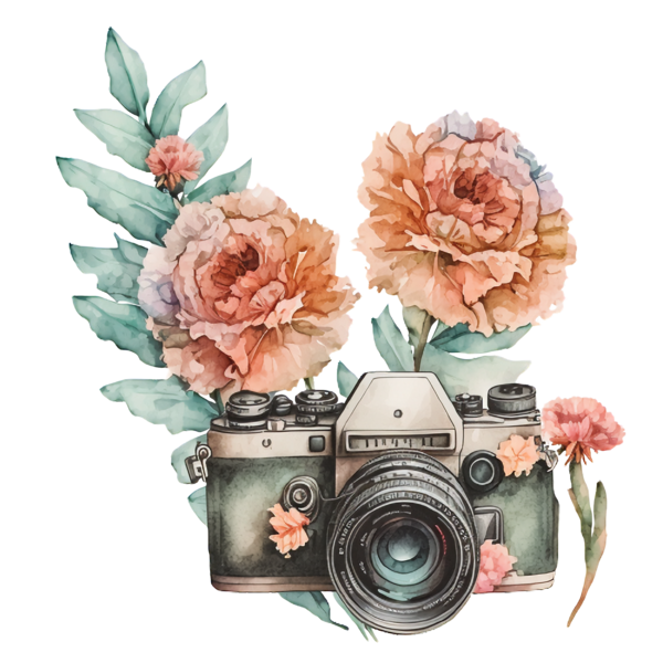 Transparent Watercolor hand painted Carnations bouquets with camera Carnations bouquets camera Watercolor Carnations for Watercolor Carnations for Watercolor Hand Painted Carnations Bouquets With Camera