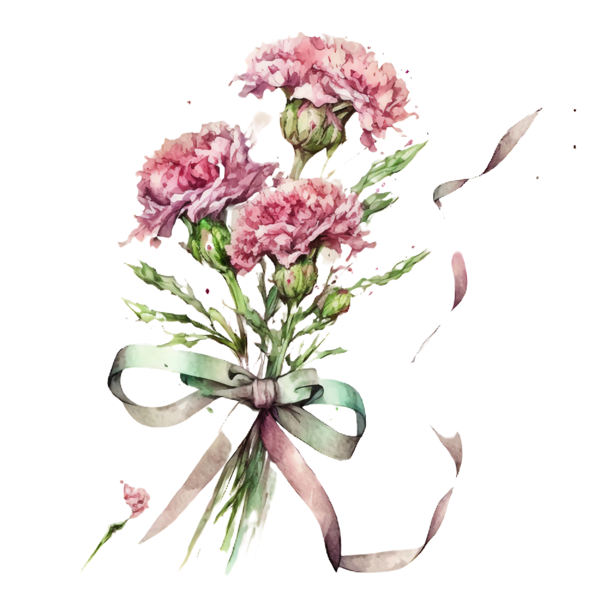 Transparent Mother's Day Mother's Day Carnations for Carnations for Mothers Day