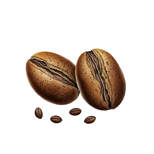 Transparent Coffee Day Coffee Day Coffee Beans for Coffee Beans for Coffee Day