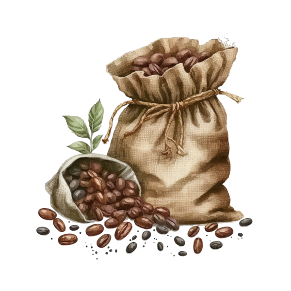 Transparent Coffee Day Coffee Day Coffee Beans for Coffee Beans for Coffee Day