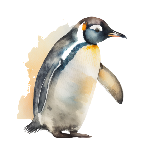 Transparent World Penguin Day Cartoon Penguin World Penguin Day for Cartoon Penguin for World Penguin Day
