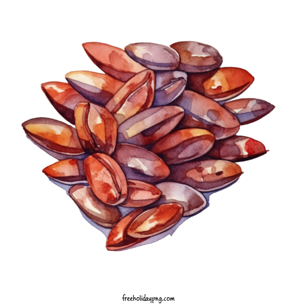 Transparent Coffee Day Coffee Beans red watercolor for Coffee Beans for Coffee Day