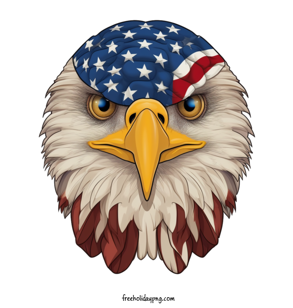 Transparent US Independence Day 4th Of July bald eagle american flag for 4th Of July for Us Independence Day