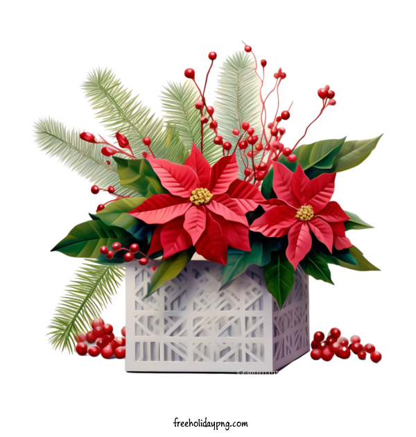 Transparent Christmas Christmas Gift Poinsettias red berries for Christmas Gift for Christmas