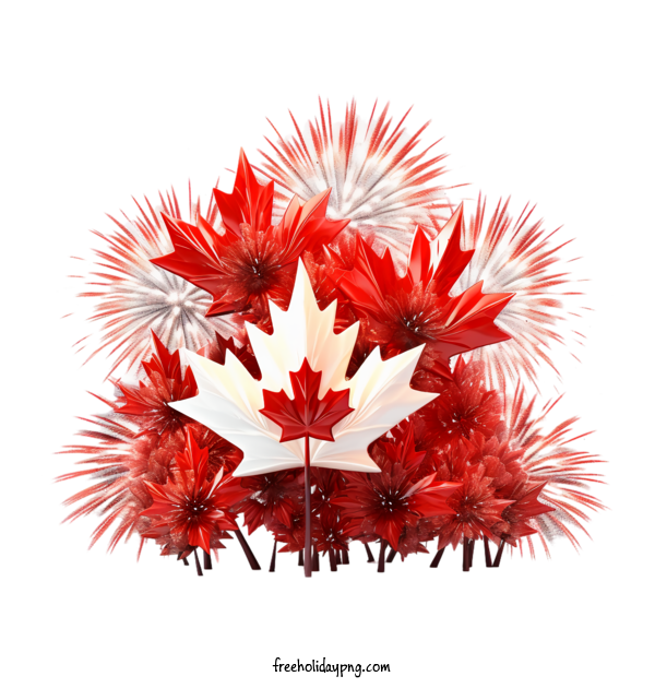 Transparent Canada Day Canada Day red white for Happy Canada Day for Canada Day