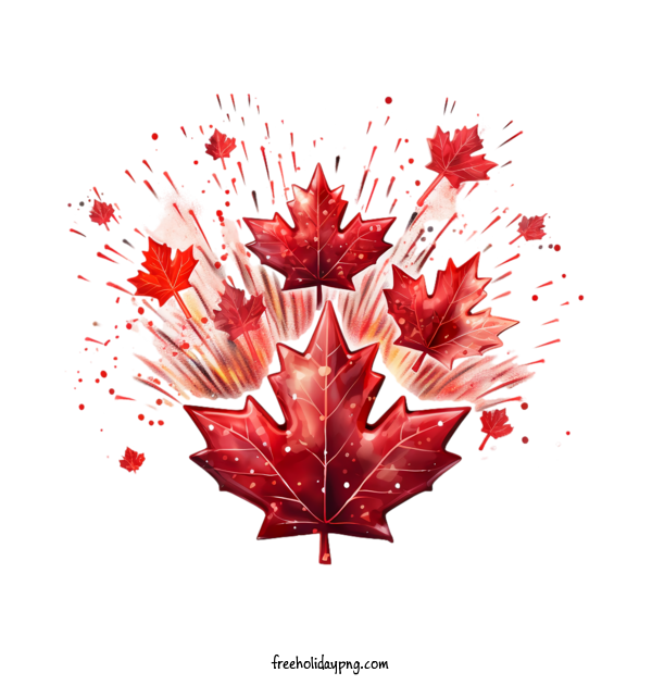 Transparent Canada Day Canada Day flower red for Happy Canada Day for Canada Day