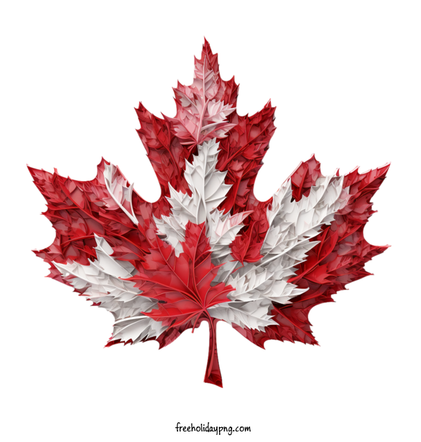 Transparent Canada Day Canada Day Happy Canada Day Maple leaf for Happy Canada Day for Canada Day