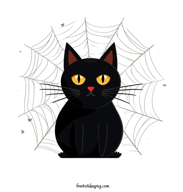Transparent Halloween Black Cats black cat spider web for Black Cats for Halloween