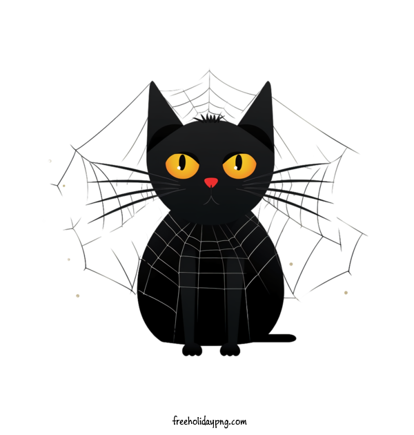 Transparent Halloween Black Cats black cat Halloween costume for Black Cats for Halloween
