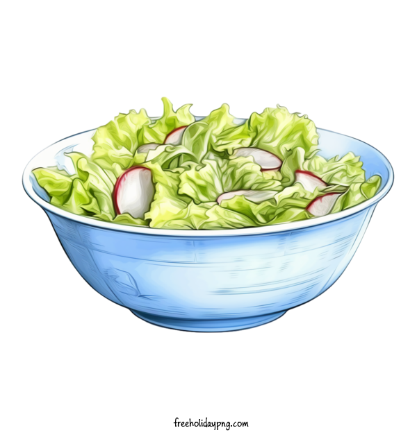 Transparent salad salad romaine lettuce radishes for salad for Salad