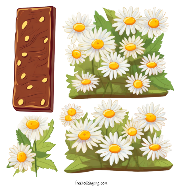 Transparent International Chocolate Day Chocolate daisies flowers for Chocolate Day for International Chocolate Day