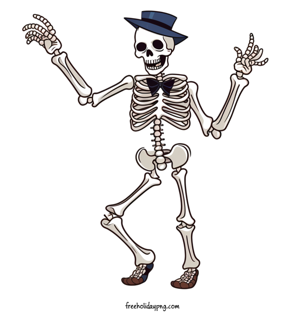 Transparent Halloween Halloween skeleton skeleton costume for Halloween skeleton for Halloween