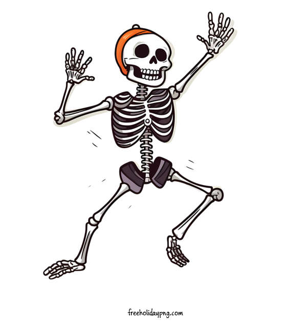 Transparent Halloween Halloween skeleton skeleton halloween for Halloween skeleton for Halloween