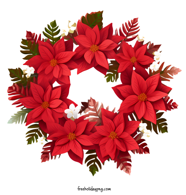 Transparent Christmas Christmas Wreath holly leaves red poinsettias for Christmas Wreath for Christmas
