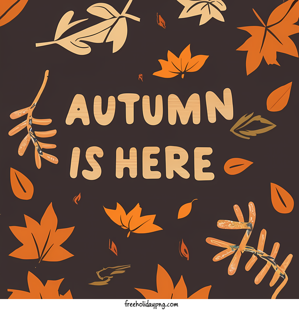 Transparent Thanksgiving Autumn is Here Autumn leaves for Autumn is Here for Thanksgiving