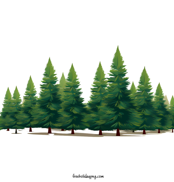 Transparent Christmas Christmas tree tall trees pine trees for Christmas tree for Christmas